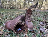 William Chesser review photo
