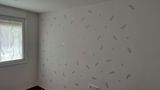 Nerea review photo