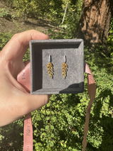 OK review photo