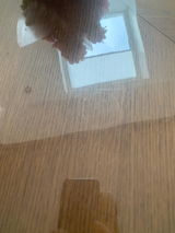 Tiina review photo