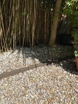 Deborah West review photo