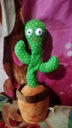 B. review photo