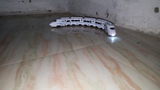 V. review photo