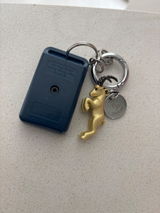 Wilma review photo