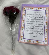 Lilly Samaa review photo