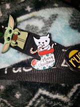 Shaelyn Pugliese review photo