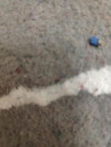 K***. review photo