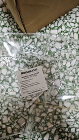 s*****y review photo
