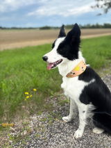 Nina Proksch mit Mimi review photo