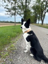 Nina Proksch mit Mimi review photo