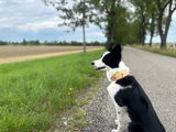 Nina Proksch mit Mimi review photo
