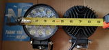 Sunny Kreiger review photo