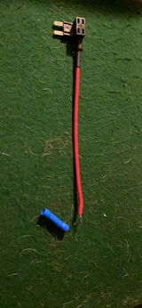 Agustin Larkin review photo