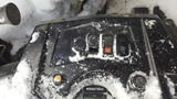 Aiden Schoen review photo
