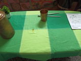 Mithoon Choudhry review photo