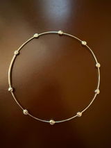 Vaishnavi review photo