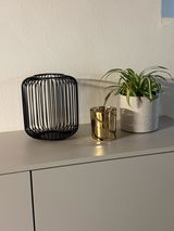 LAURA FALDA review photo