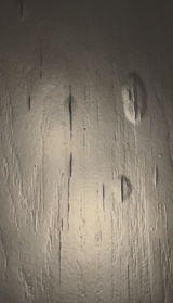 S. review photo