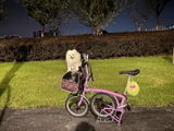 Chloe P. review photo