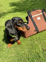 Samuel N. review photo