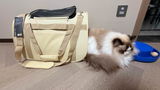 Debra I. review photo
