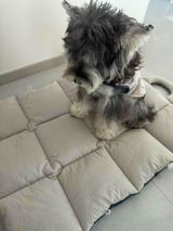 Parker R. review photo