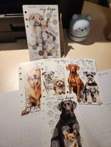 MB review photo