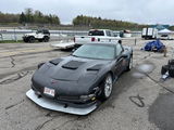 Vette Midler review photo
