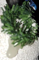 dinat review photo