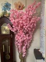 Marie forestal review photo