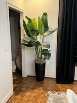 anonymous review photo