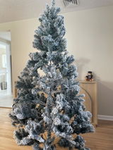Jay review photo