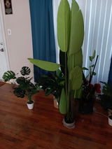 Placeholder review photo