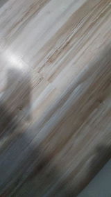 Su Dantas review photo