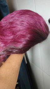 Wilton Siqueira review photo