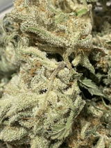 Jake review photo