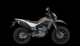 Rando review photo