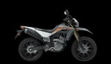Rando review photo