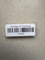 Kendall review photo