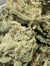 Jake review photo