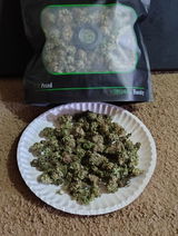 Casey review photo
