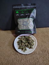Casey review photo