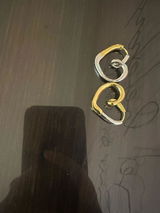 Usha review photo