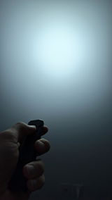 Steven Q. review photo
