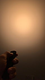 Steven Q. review photo