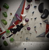 Seb review photo