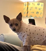 Mikayla review photo