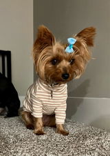 Jayda review photo