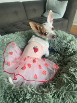Angeline review photo