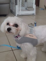 Mayra review photo